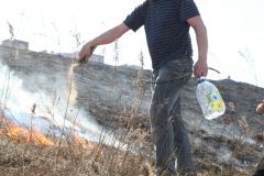IMG_7049.JPGВ выходные горела трава на набережной Новочебоксарска экология 