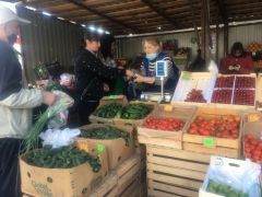 Оживленная торговля овощами и фруктами идет на новочебоксарском рынке. Цены в мае маются