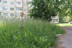 В траве сквера по ул. Семенова можно играть в прятки.  Фото Максима БОБРОВАТрава на ничейной полосе трава 