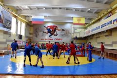  В рамках проекта «Спорт – норма жизни» спортивные школы олимпийского резерва Чувашии получают государственную поддержку