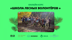 ЭкошколаПоявился бесплатный онлайн-курс по лесному волонтерству  экология 