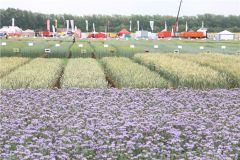 День поля-2022"День поля – 2022" в Чувашии собрал рекордное количество участников День поля 