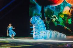  Более 4000 детей посмотрели шоу на льду «Алиса в Зазеркалье» 