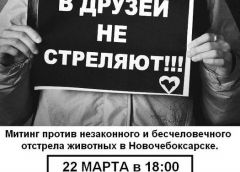 anons_mitingha.jpgСегодня в Новочебоксарске - митинг против отстрела собак против отстрела собак митинг в защиту животных 
