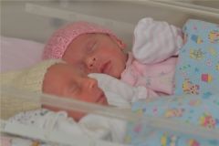 Двойня. Фото cap.ru176 двоен родились в Чувашии в 2020 году двойняшки 