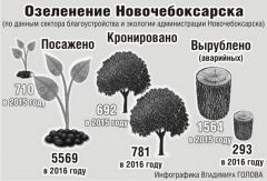 dierieva2.jpgСвалкам в городе не место Среда обитания 2017 - Год экологии и особо охраняемых природных территорий 