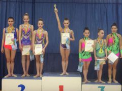  В Новочебоксарске прошел чемпионат республики по художественной гимнастике художественная гимнастика 