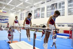 Центр подготовки по спортивной и художественной гимнастике построят в Новочебоксарске