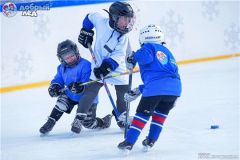 Две открытые хоккейные площадки построят в Чувашии на гранты конкурса "Добрый лед" Программа «Добрый лёд» 