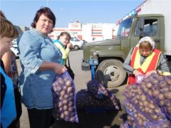  В Новочебоксарске соцработники помогают пожилым горожанам в закупке и заготовке овощей на зиму