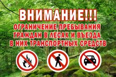 ОграничениеС 1 июля ограничат посещение гражданами лесов Чувашии лесные пожары 