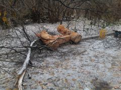 В Новочебоксарске упали деревянные скульптуры в Ельниковской роще экоаллея ЧП Новочебоксарск 
