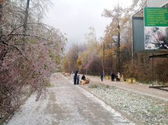 В Новочебоксарске упали деревянные скульптуры в Ельниковской роще экоаллея ЧП Новочебоксарск 