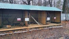 Новый вольерОбитатели зоопарка Ельниковской рощи осваивают новый вольер Ельниковская роща 