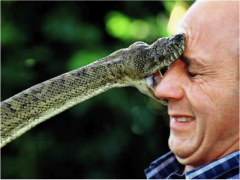ghadiuka_foto.png…и ядовитых змей Школа выживания Cреда обитания 