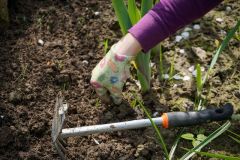 Садоводу на заметку: какие инструменты помогут облегчить труд