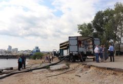 МУП «Коммунальные сети города Новочебоксарска» выпустили 10,5 тысяч мальков стерляди в Волгу 