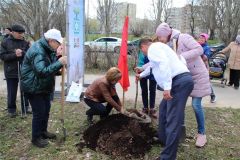 Химики вместе с жителями Донецка и Луганска посадили Каштановую аллею Каштановая аллея 