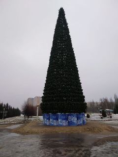 В Новочебоксарске  установили новую елку за 2 миллиона рублей
