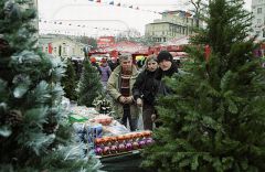 ielochnyi_bazar.jpegВ третьей декаде декабря заработают елочные базары Новый год-2013 елочный базар 