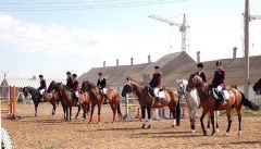 И только лошади летают вдохновенно... Открытый чемпионат Чувашской Республики по конному спорту 