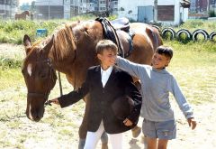И только лошади летают вдохновенно... Открытый чемпионат Чувашской Республики по конному спорту 
