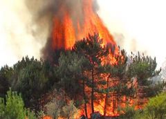 755 жителей эвакуированы из Заволжья пожары 