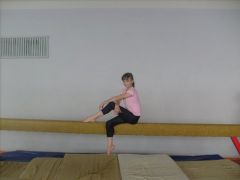 Мастерство куется  на тренировках спортивная гимнастика 