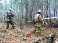 Помощь соседям пришла вовремя  пожары лесные пожары 