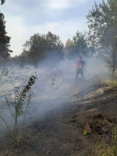 Тушение пожараНа границе Урмарского и Козловского районов ликвидировали возгорание на площади 70 га лесной пожар 