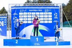 ПризерыЧувашские триатлонисты стали призерами первенства мира Триатлон 