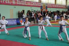Состоялось торжественное открытие чемпионата и первенства Новочебоксарска по всестилевому каратэ карате 