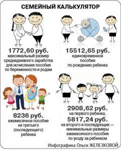 Инфографика Ольги ЖЕЛЕЗКОВОЙНа что рассчитывать семьям с детьми в 2016 году Социальная поддержка 