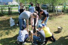 В школе № 17 учащиеся вместе с учителями и родителями посадили саженцы кедра