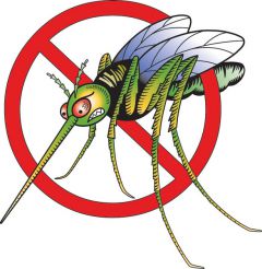Комариное нашествие:  как спастись? защита от комаров 