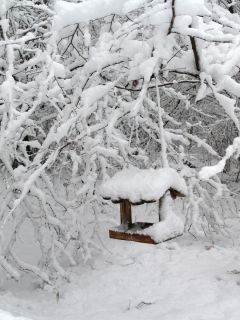 Уютно становится в лесу при виде кормушки, запорошенной снегом. В Ельниковской роще их — 140.Луч света против темного царства Счастье есть 