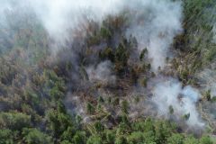 Горит лесПричиной пожара в заповеднике "Присурский" стало неосторожное обращение с огнем лесной пожар 