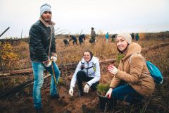 8 октября в Заволжье добровольцы посадили 17 тыс. саженцев сосны. Фото Минприроды ЧРЖиви, лес!