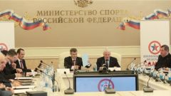 Михаил Игнатьев принял участие в совместном заседании Попечительского совета и Исполкома Всероссийской федерации самбо