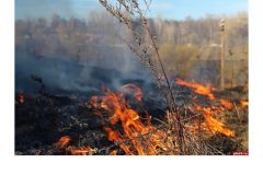  В Чувашии участились случаи возгорания сухой травы
