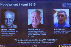 Нобелевская премия по химии присуждена за починку ДНК Нобелевская премия 