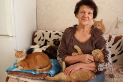 74-летняя новочебоксарка Наталья ЧЕКАНОВА вот уже 20 лет занимается пристроем бездомных животных.Каждой кошке нужен дом волонтеры УшиЛапыХвост 
