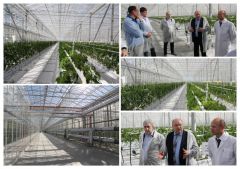 Овощеводы России в Чувашии обсуждают проблемы имортозамещения в тепличном овощеводстве в современных экономических условиях