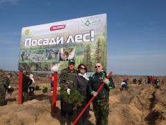 В Заволжье прошел Всероссийский день посадки леса посадки лесной пожар Заволжье 