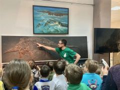 В Новочебоксарске открылась выставка Вятского палеонтологического музея