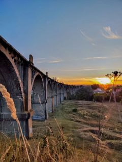 Мокринский мостМТС составила рейтинг самых туристически привлекательных мест Чувашии за это лето без учета Чебоксар туризм в Чувашии 