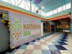 В Чувашию на выставку "Картофель-2024" приедут более 20 регионов России