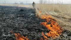 Пал сухой травы10 апреля в Чувашии произошли сразу два возгорания сухой травы возгорание 