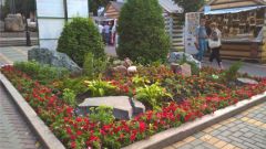 Сад камней на бульваре Купца Ефремова расцвечен петуниями и бархатцами