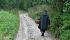 В Чебоксарах второй день ищут пенсионеркок, которые ушли за грибами и не вернулись тихая охота предупреждение ГО и ЧС грибы 